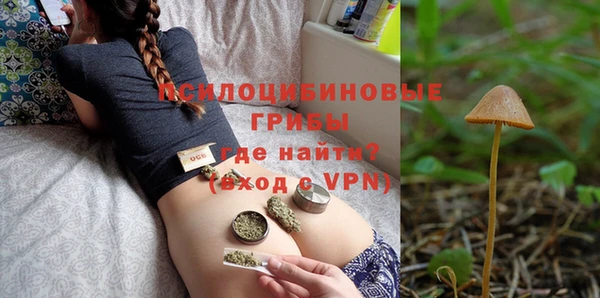 apvp Струнино