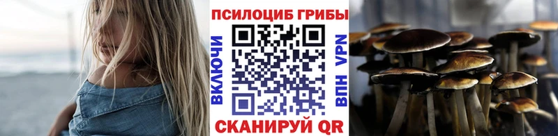 Псилоцибиновые грибы Cubensis  Чайковский 